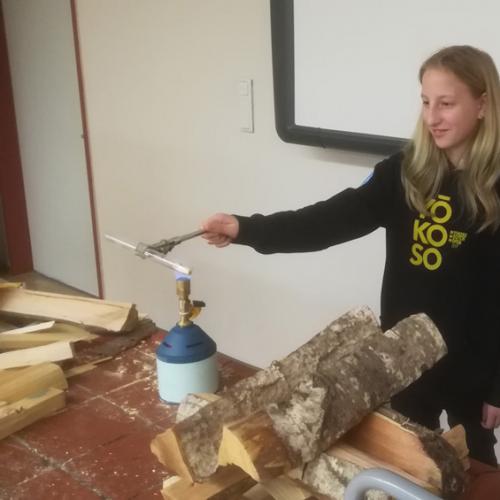 Richtig heizen mit Holz