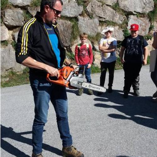 Waldprojekt 2019