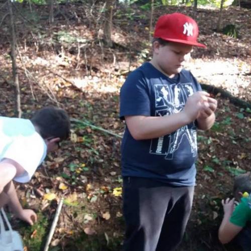 Waldprojekt 2019