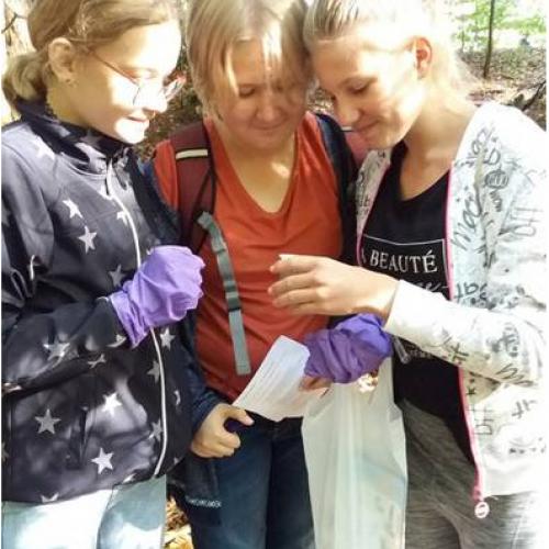 Waldprojekt 2019
