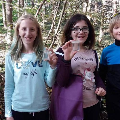 Waldprojekt 2019
