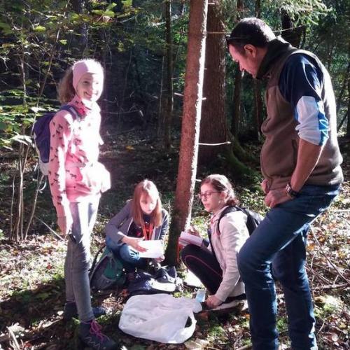 Waldprojekt 2019