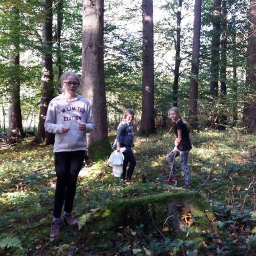 Waldprojekt 2019