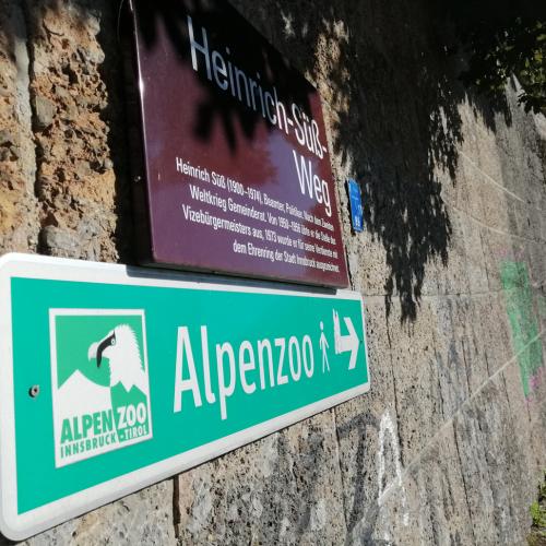 Alpenzoo 2021 2ab