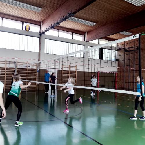 Volleyball-Training 2022