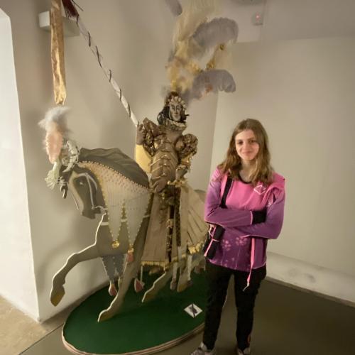 Innenstadt und Schloss Ambras in Innsbruck