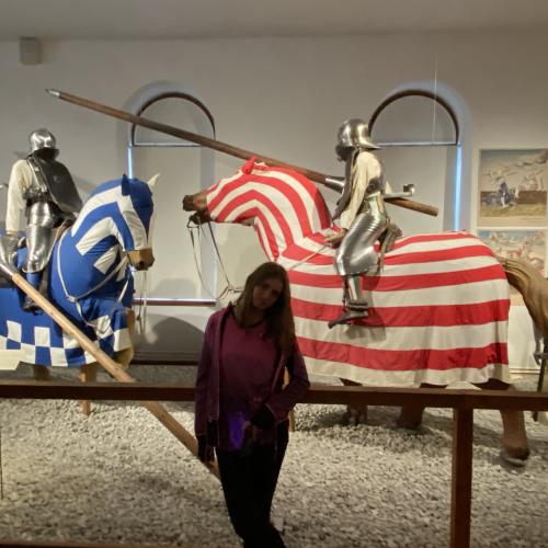 Innenstadt und Schloss Ambras in Innsbruck