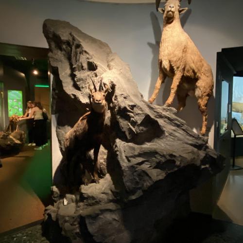 Salzburger Innenstadt + Haus der Natur 3B (2.7.2024)