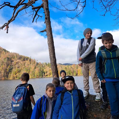 Schon wieder ein Stein/Felsen zum Kraxeln!