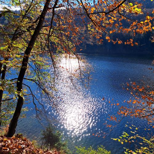Herbst ...