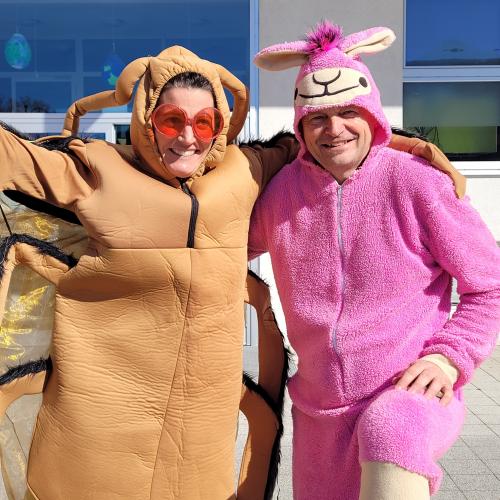 Kakerlake und Schwein