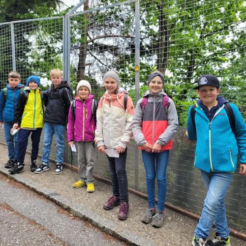 Besuch Alpenzoo