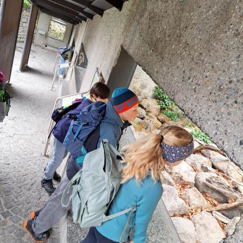 Besuch Alpenzoo