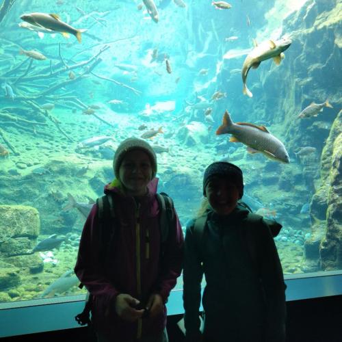 Besuch Alpenzoo