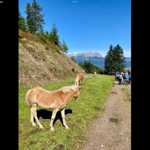 Wandertag 2025, 2026, 4a, 4b