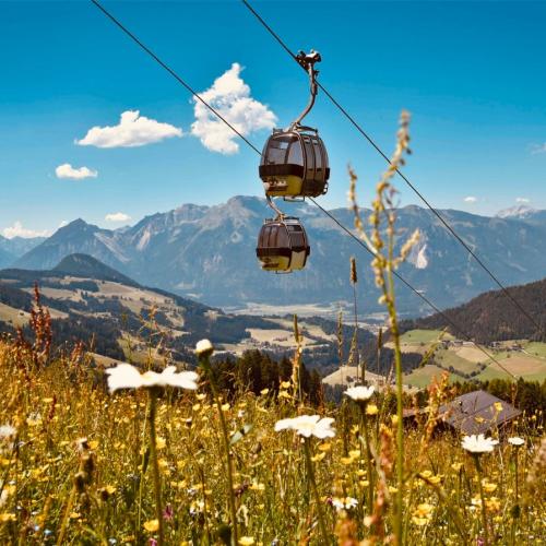 Wandertag 2025, 2026, 3a, 3b