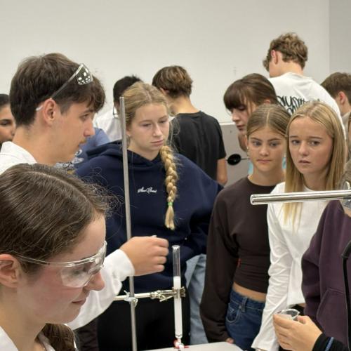 Novartis 1
