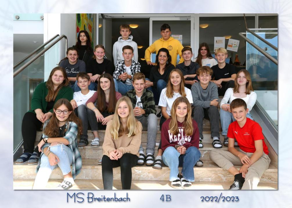 4b