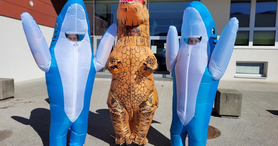Haie und Dino